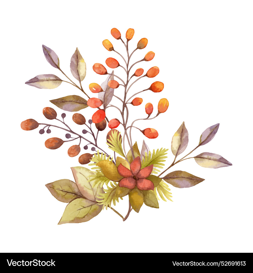 Autumn Watercolor Berry Bouquet Vector Image