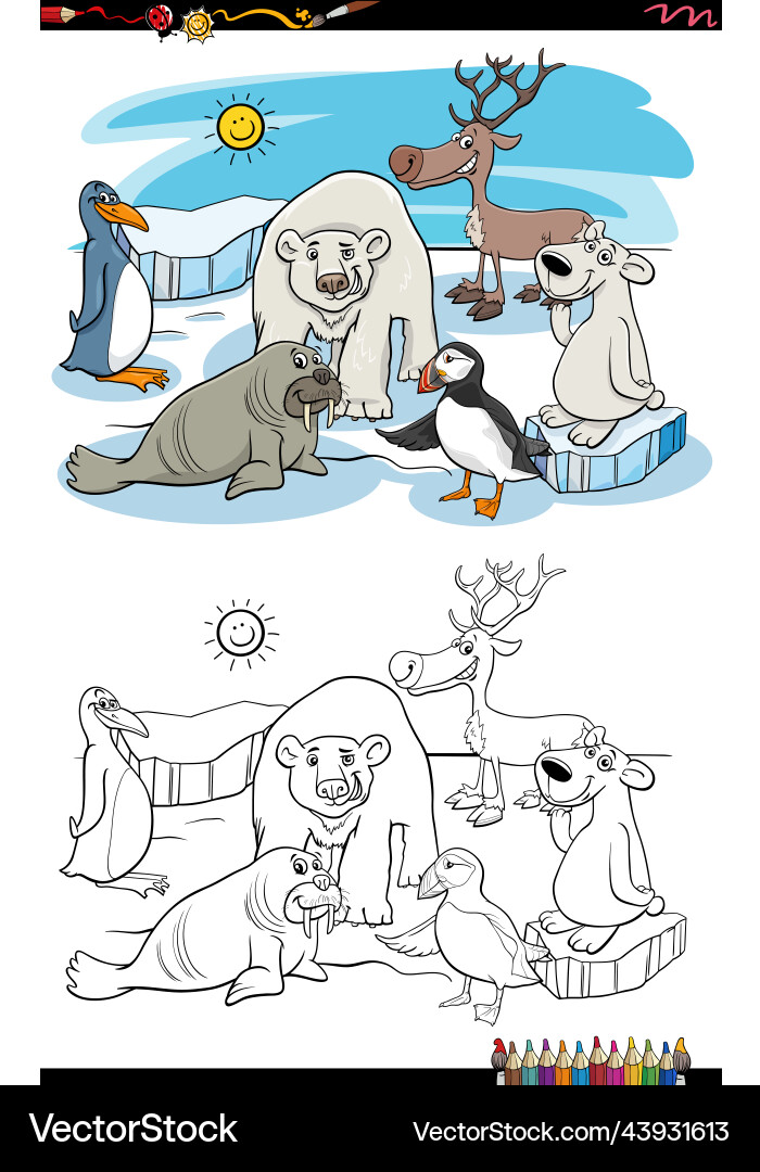 Cartoon polar animals characters group coloring Cartoon polar animals characters group coloring vector image