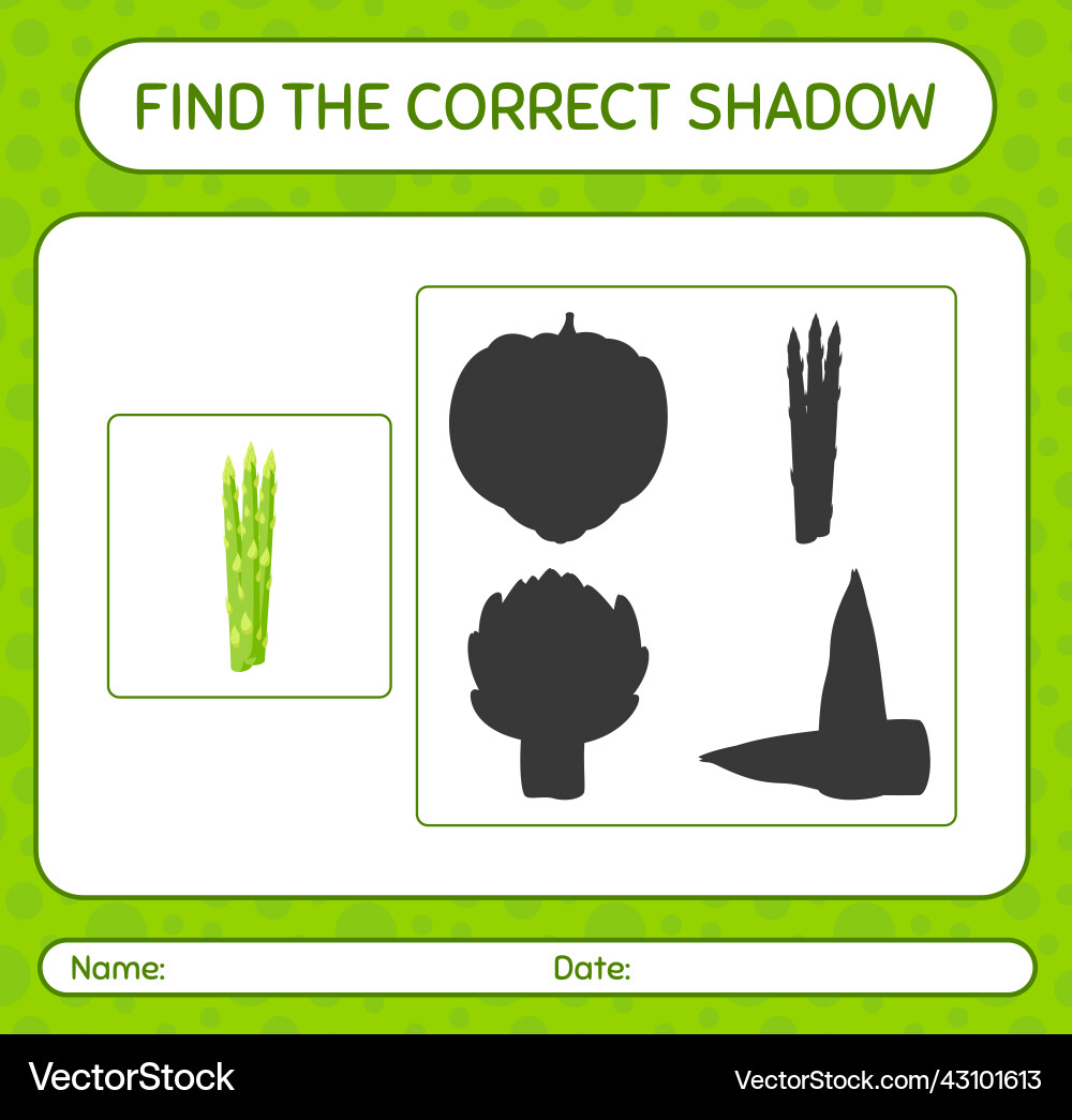 Find the correct shadows game with asparagus Find the correct shadows game with asparagus vector image