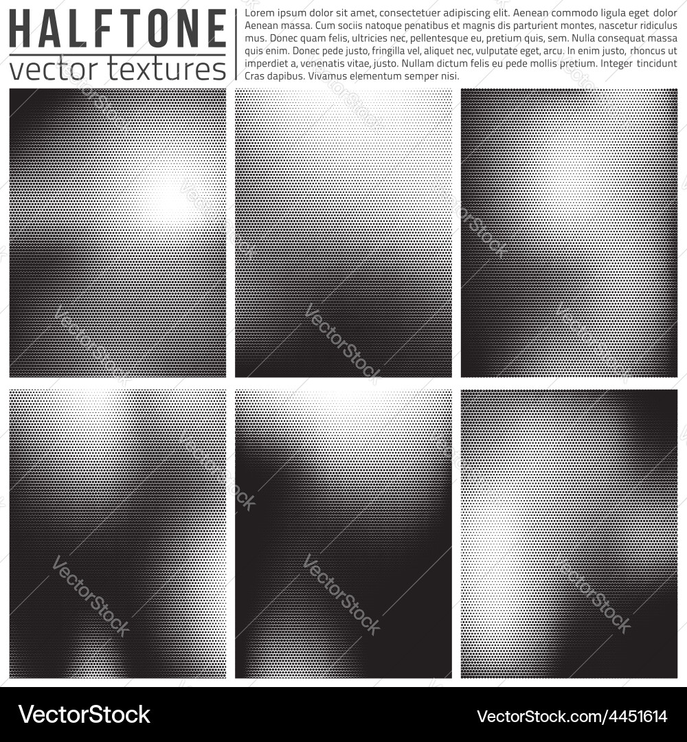 Analog Halftone Texture Set vector image