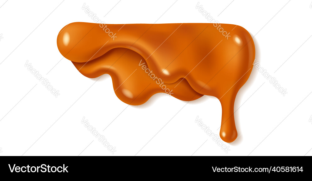 Melted caramel sauce drop vector image