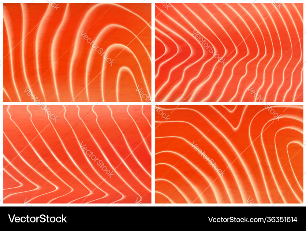 Salmon trout fish meat texture background set Vector Image