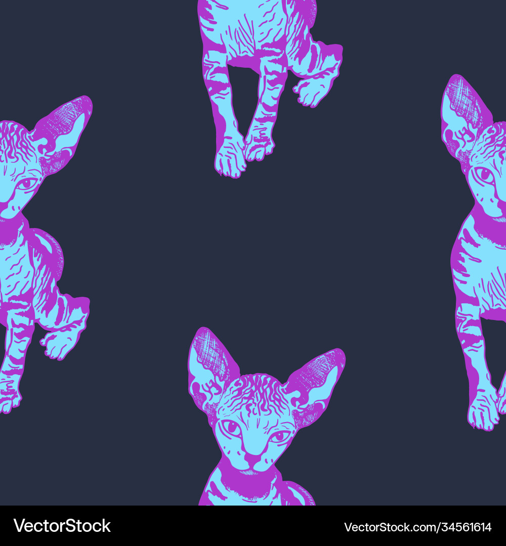Sphinx kittens seamless pattern the cat is neon Sphinx kittens seamless pattern the cat is neon vector image
