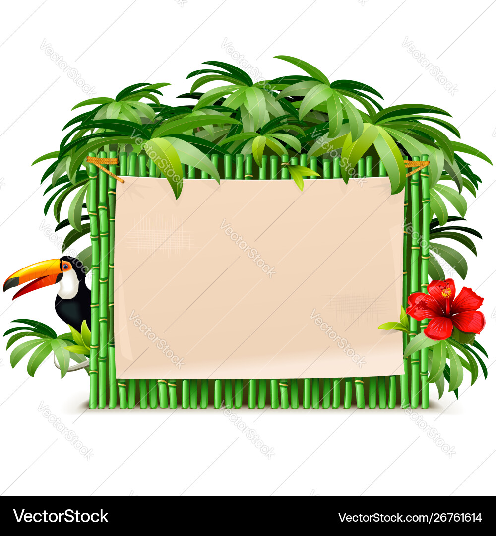 Tropical green bamboo frame – Royalty-Free Vector | VectorStock, image size:1000x1080