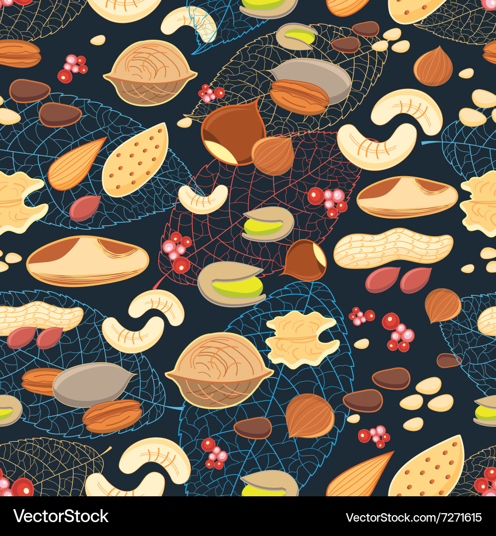 Bright pattern of different nuts vector image