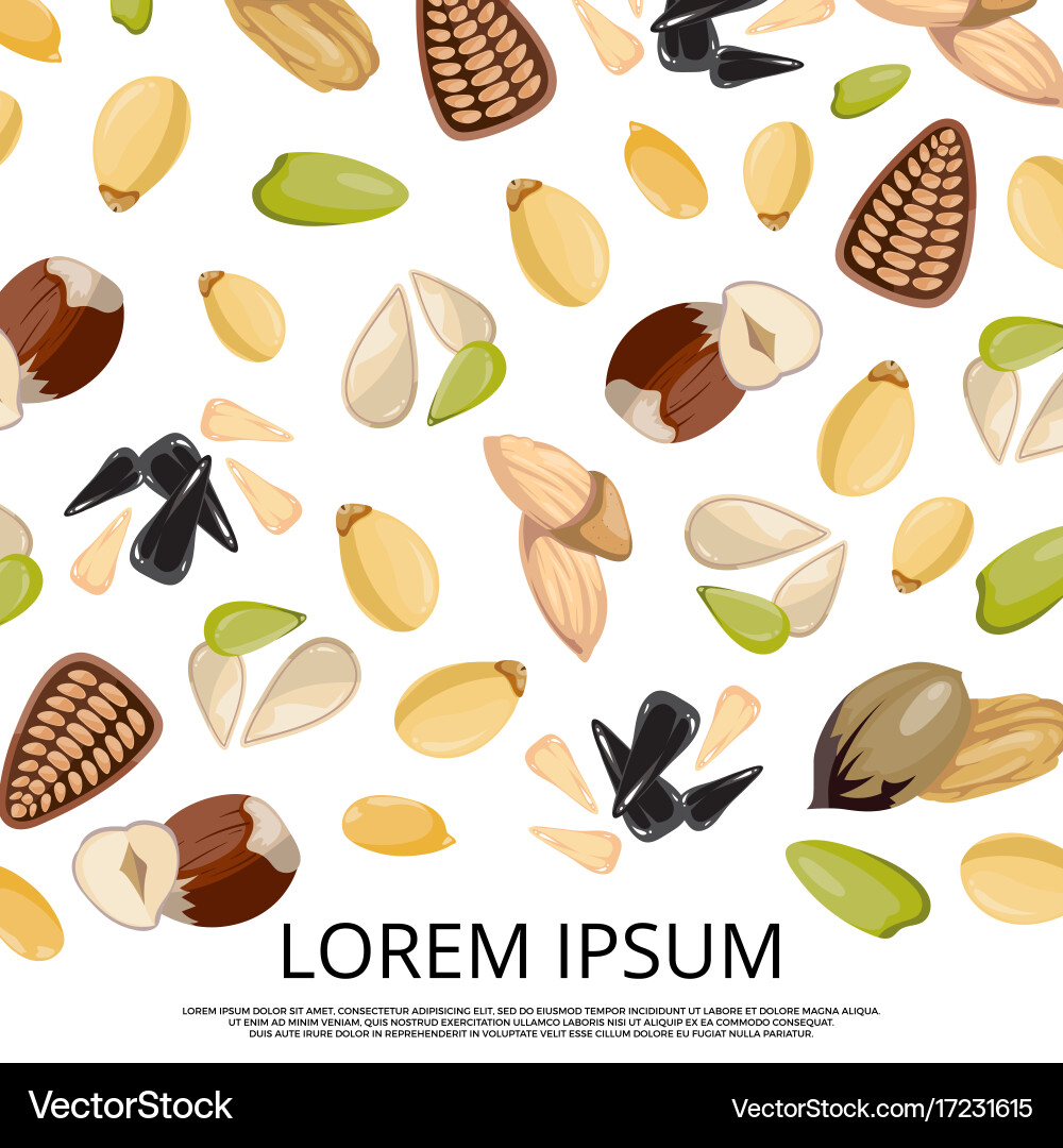 Falling nuts and seeds on white background design Vector Image