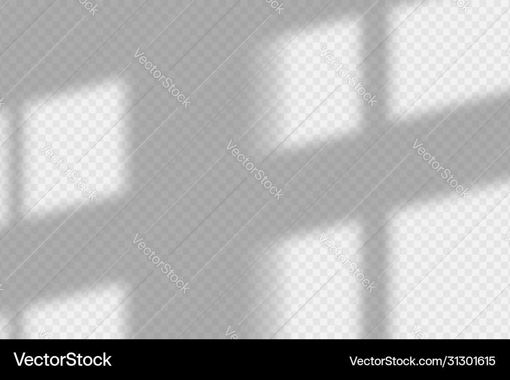 Shadow overlay effect transparent window Vector Image