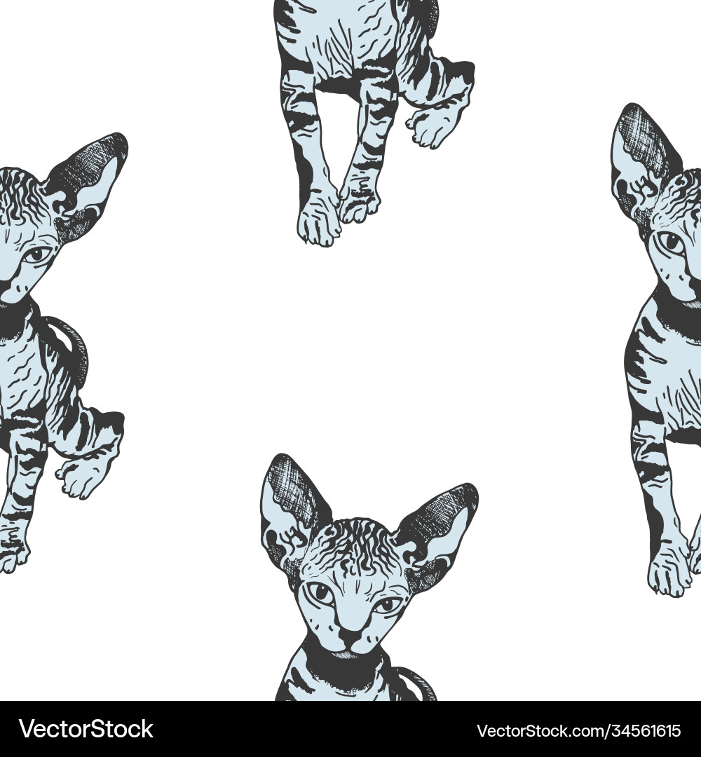 Sphinx kittens seamless pattern the cat is spotty Sphinx kittens seamless pattern the cat is spotty vector image