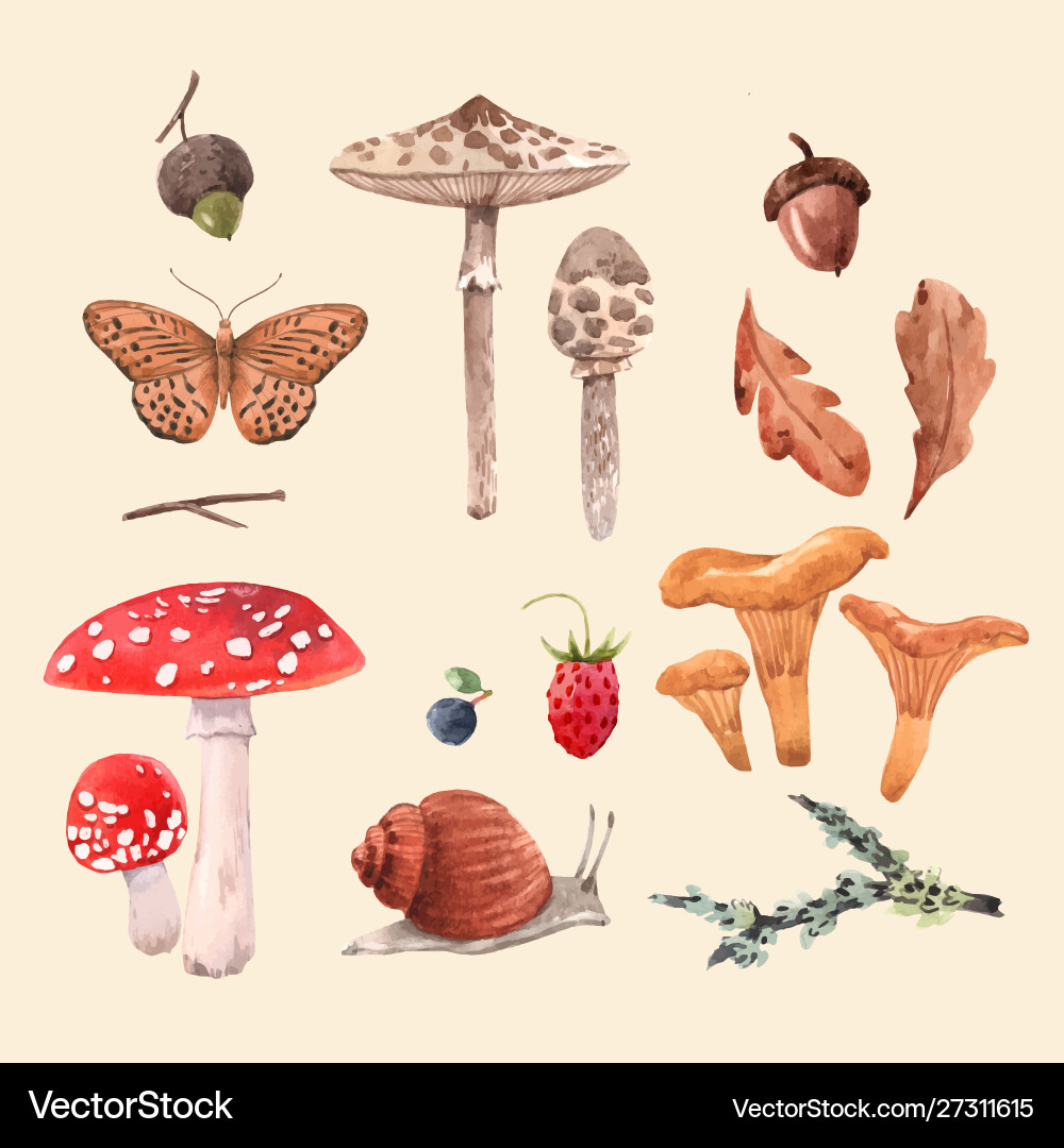 Watercolor forest set Watercolor forest set vector image