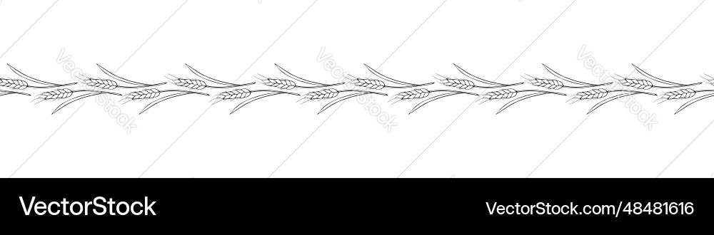 Edging border from outline wheat spikelets ears Vector Image
