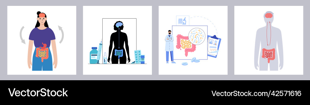 Gut-Brain Axis Connection vector image
