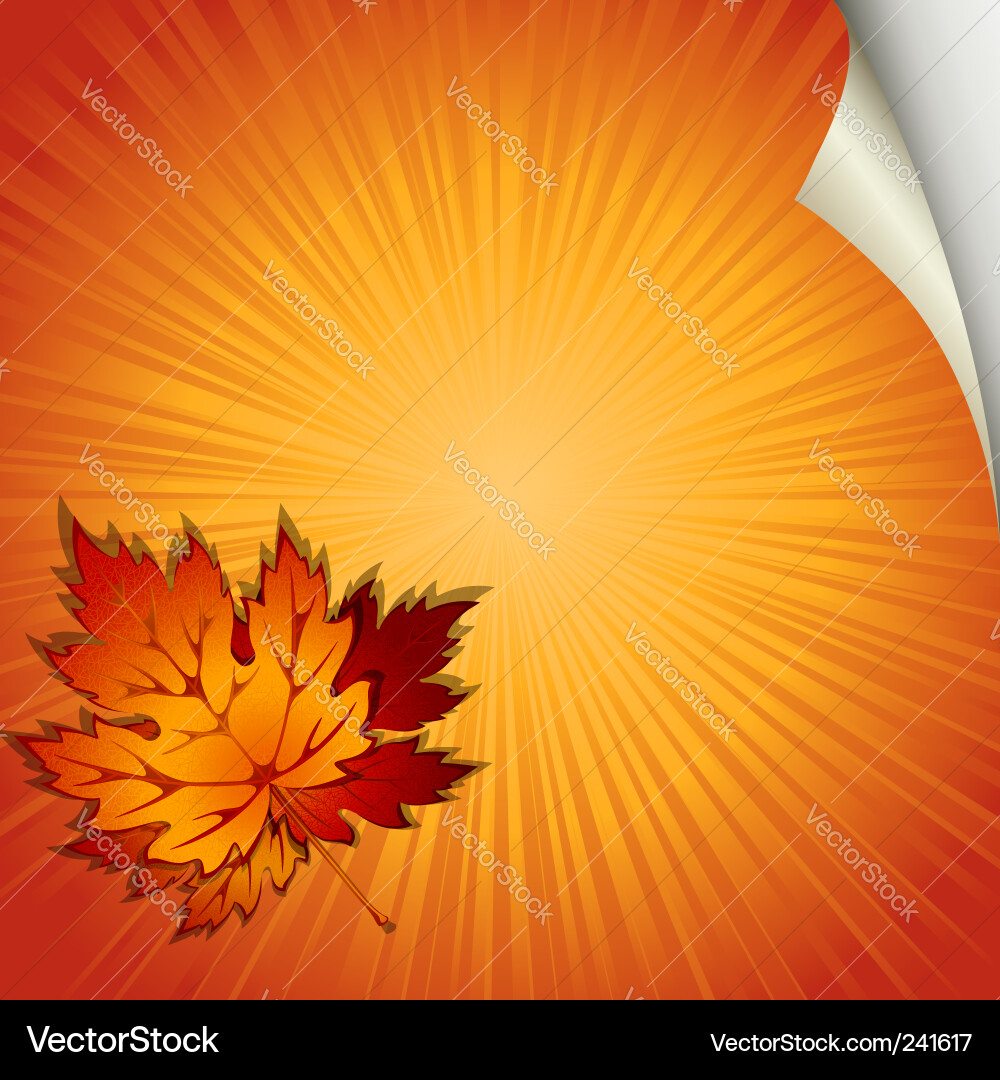 Autumn Maple Leaf Background Vector Image