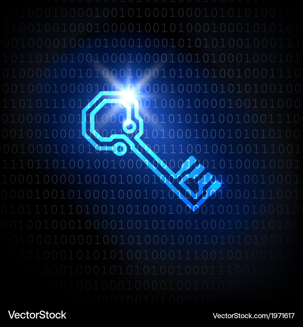 Digital Security: Key & Binary Code vector image