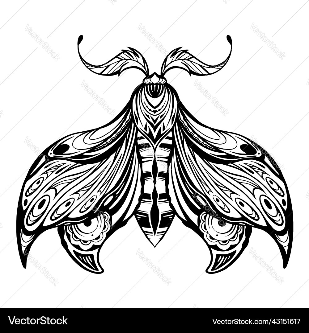 Drawing of a moth tattoo monochrome Drawing of a moth tattoo monochrome vector image