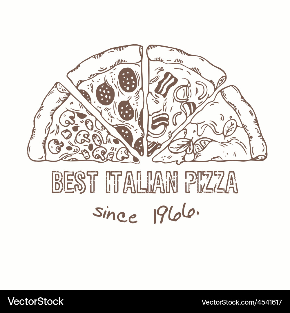 Sketch of Pizza with Various Slices vector image