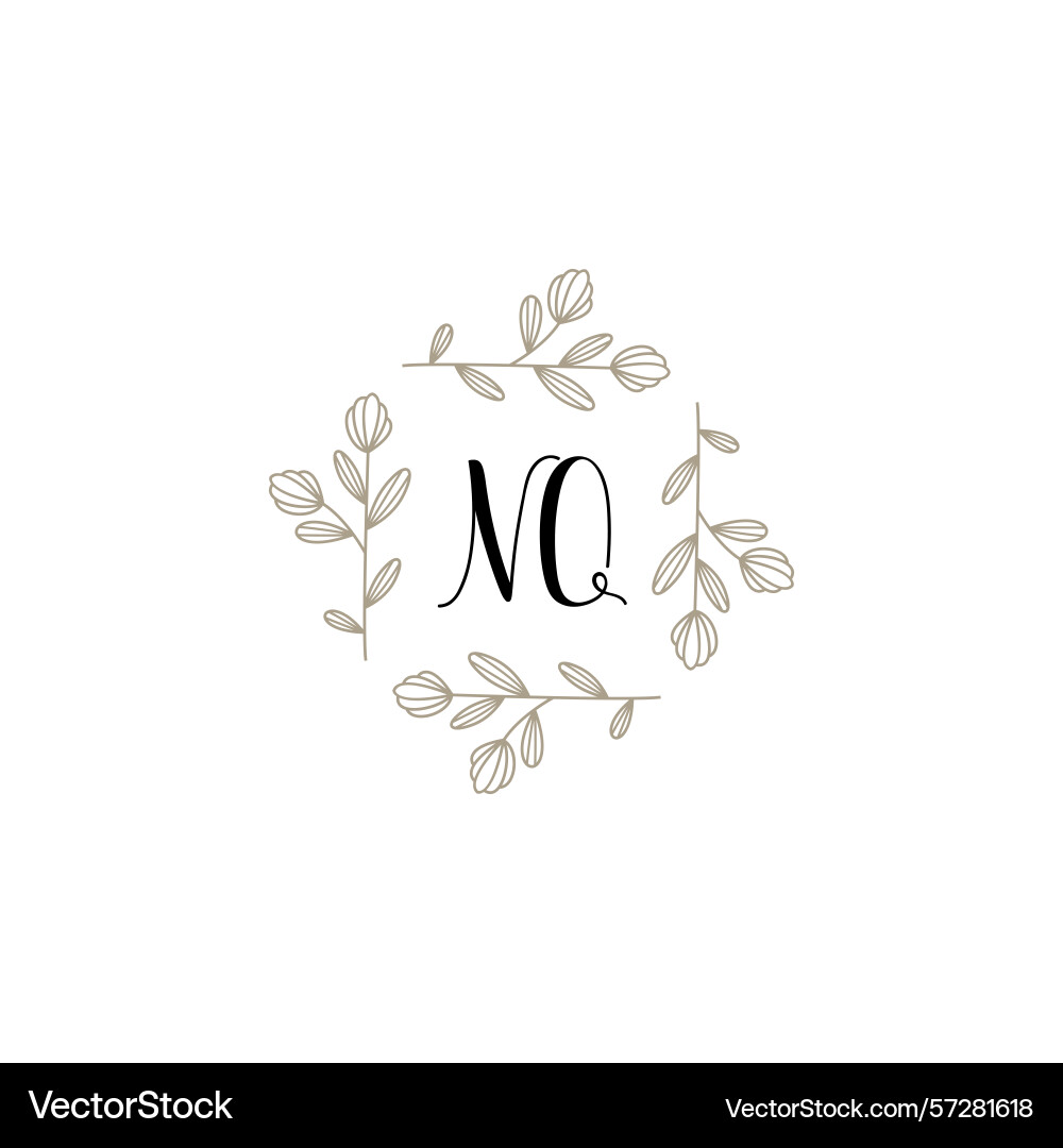 Botanical monogram logos with initial nq Vector Image
