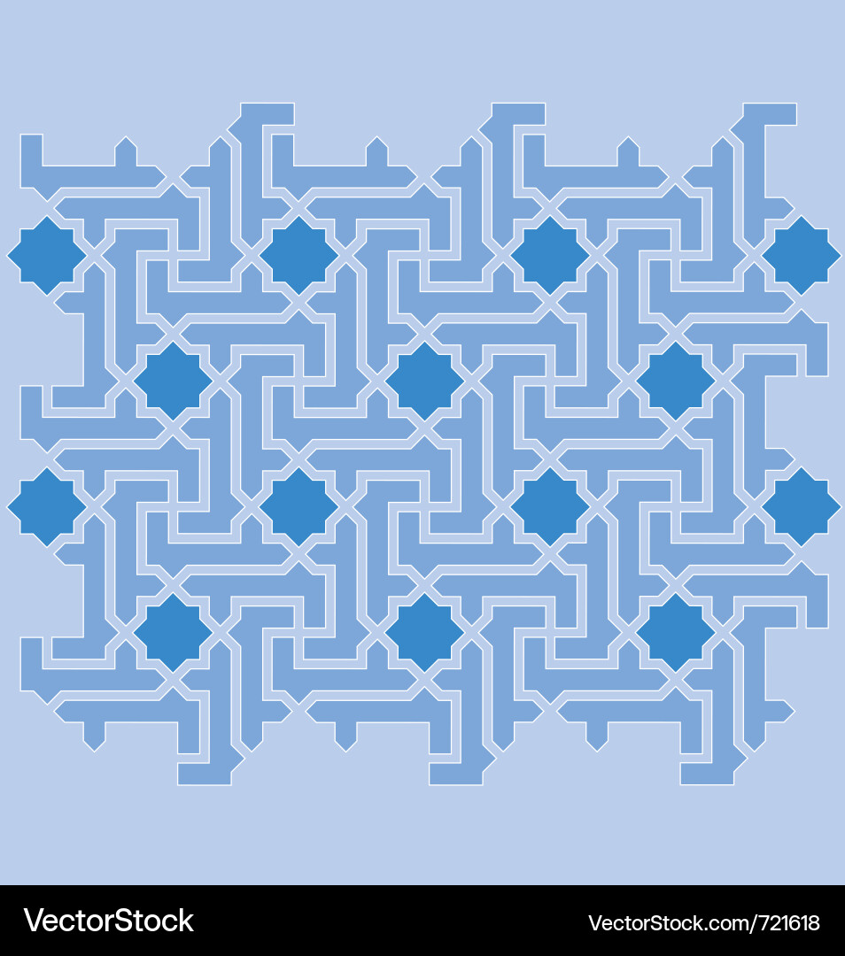 Intricate Interlace Pattern vector image