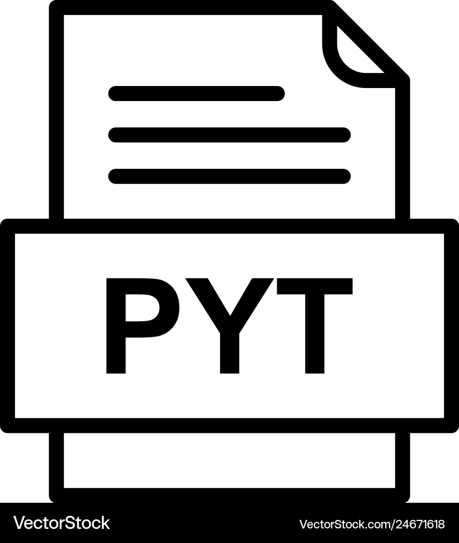 Pyt file document icon vector image