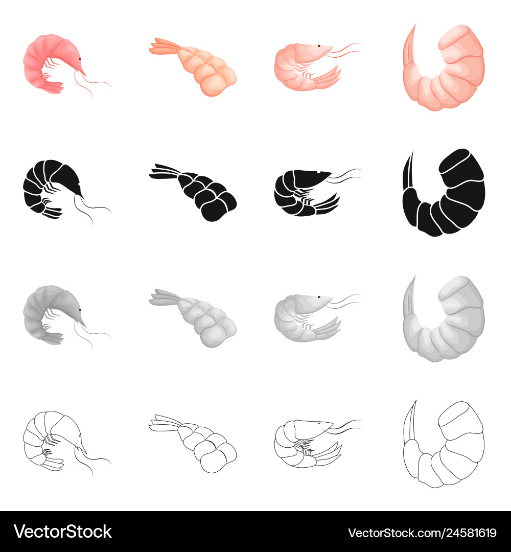 Isolated object of appetizer and ocean symbol set Isolated object of appetizer and ocean symbol set vector image