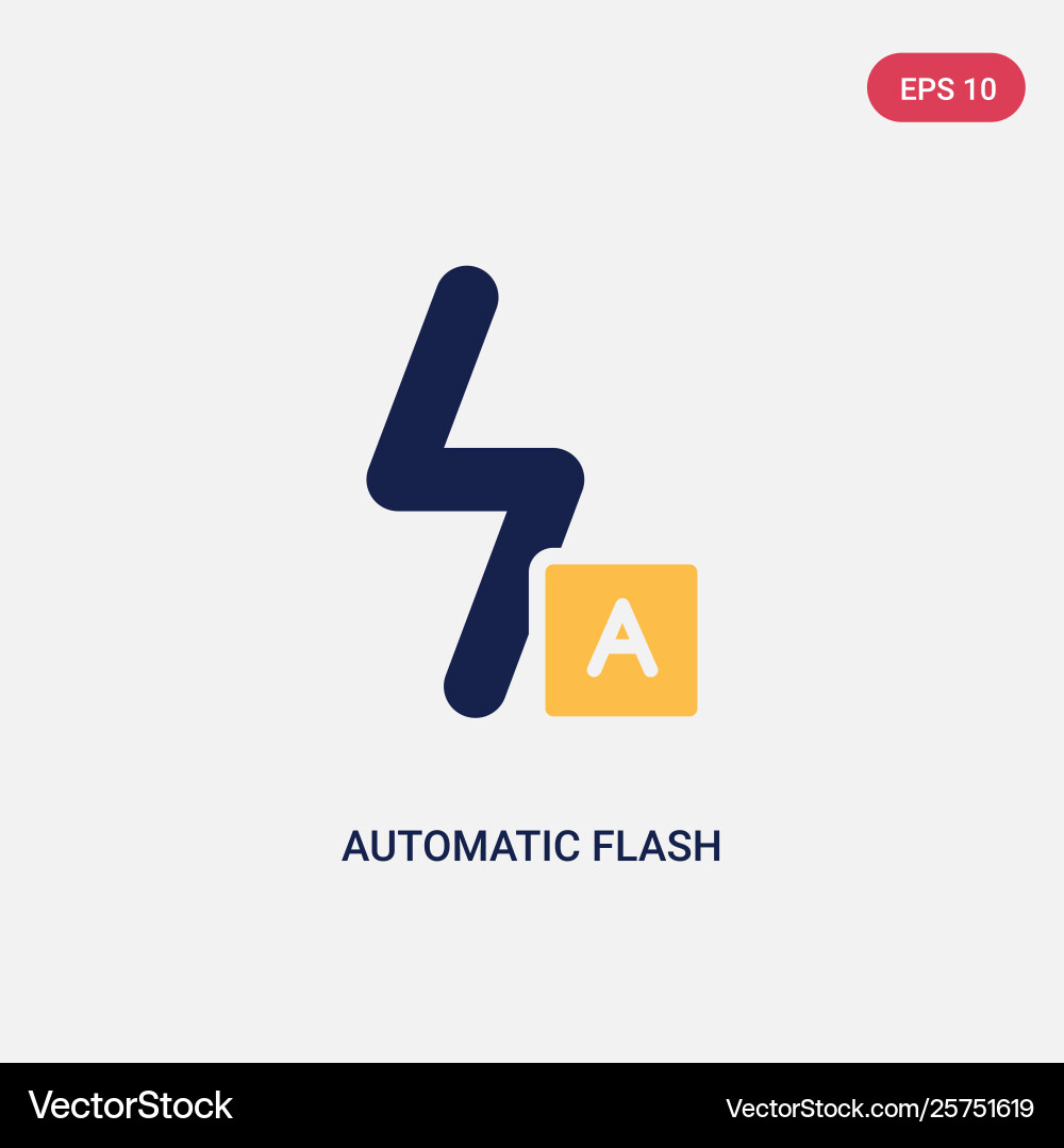 Two color automatic flash icon from ultimate vector image