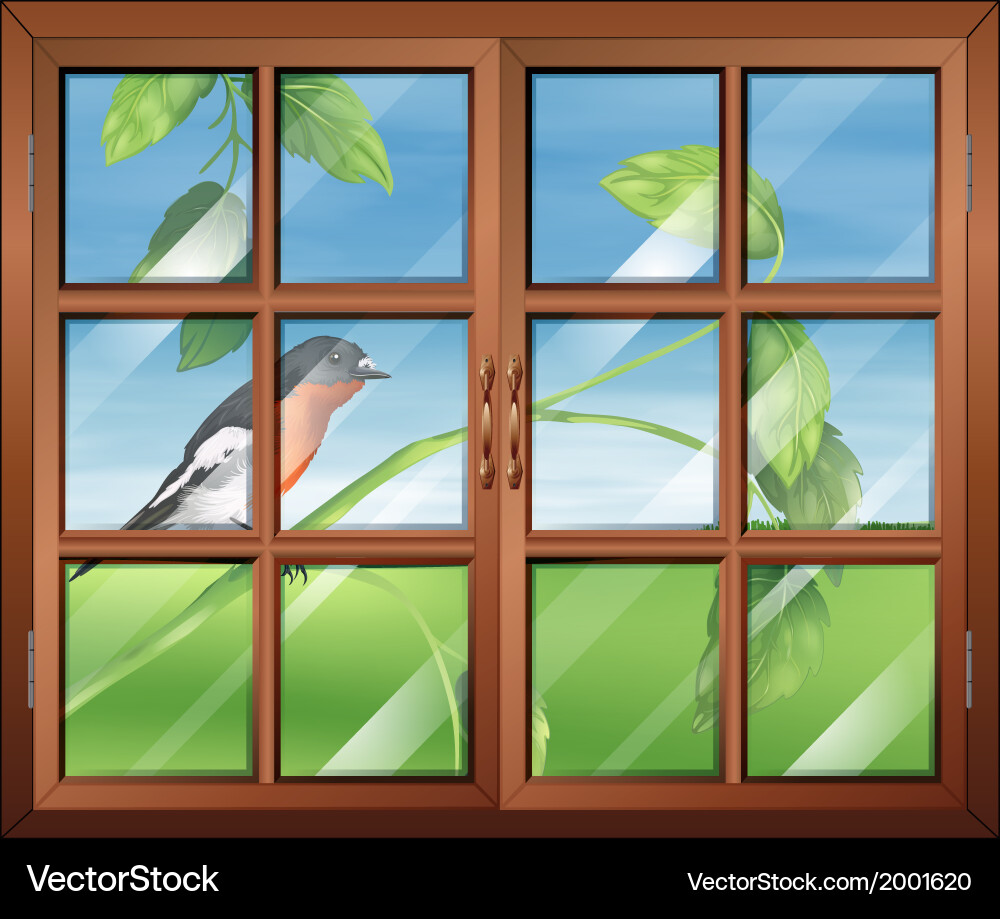 A window with view of the bird at stem vector image