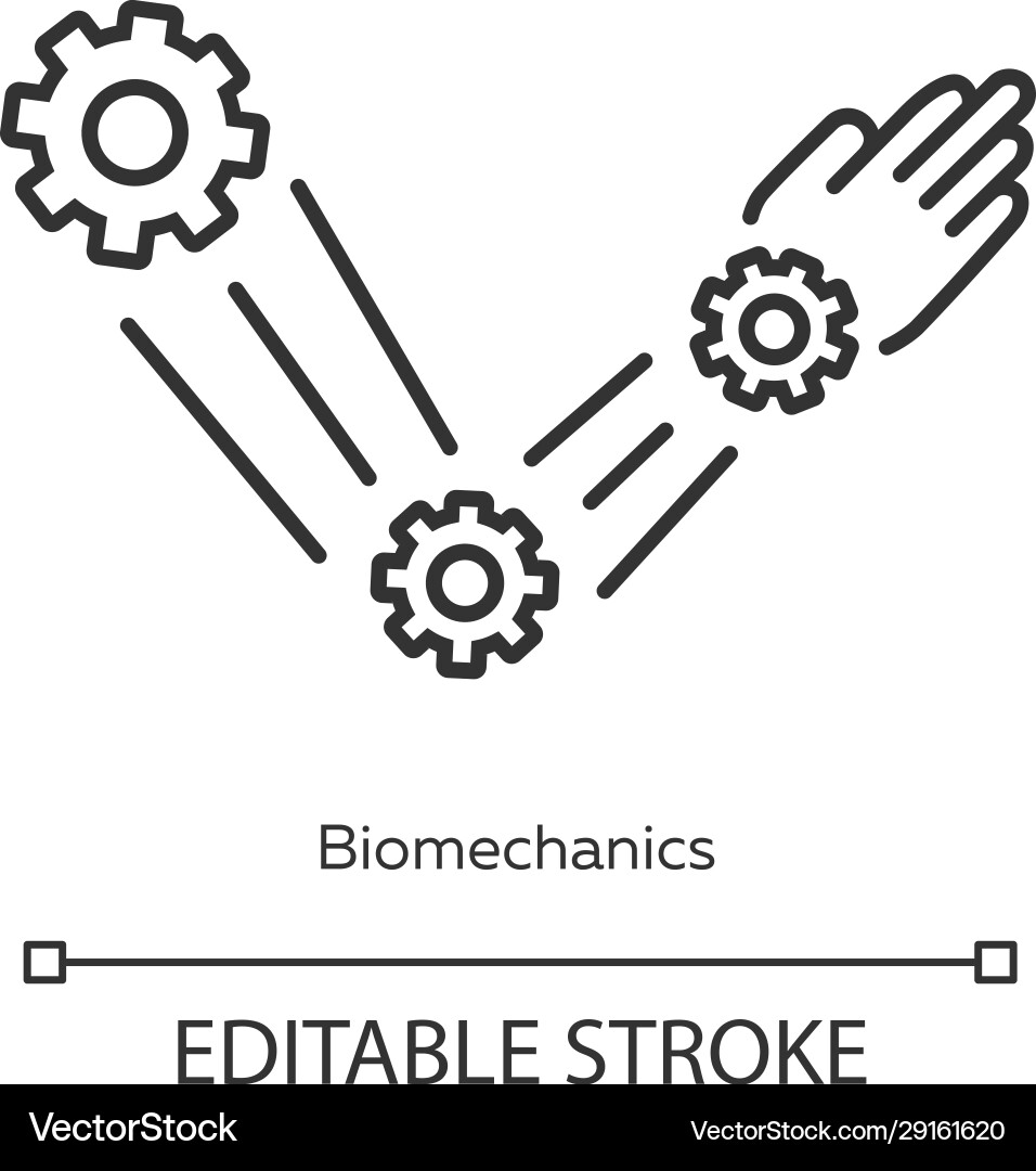 Biomechanics linear icon studying and copying Vector Image