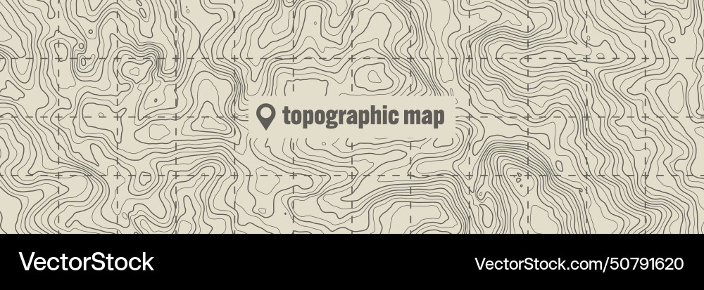 Topographic map with contour lines geographic Topographic map with contour lines geographic vector image