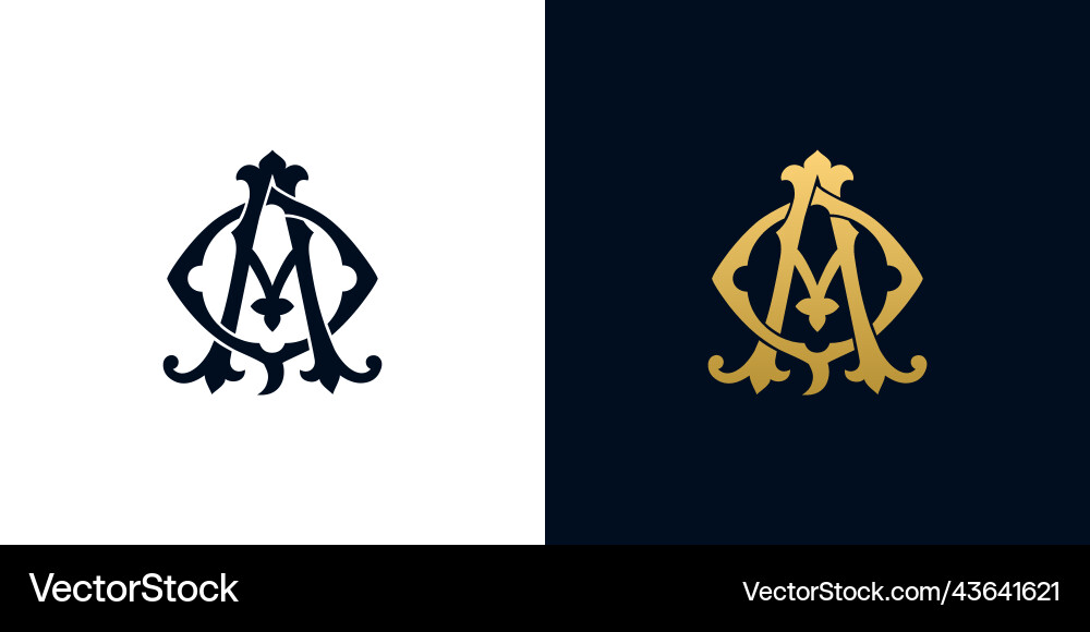 Decorative vintage initial letters qa monogram Decorative vintage initial letters qa monogram vector image