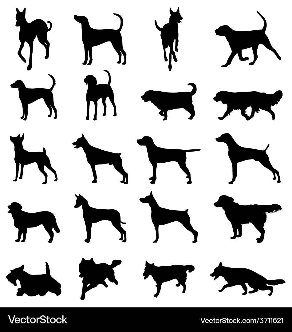 Dog Silhouettes Collection Vector Image