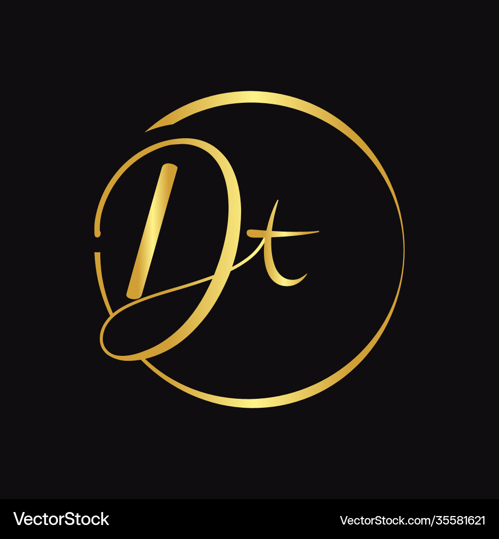 Elegant DT Script Logo vector image