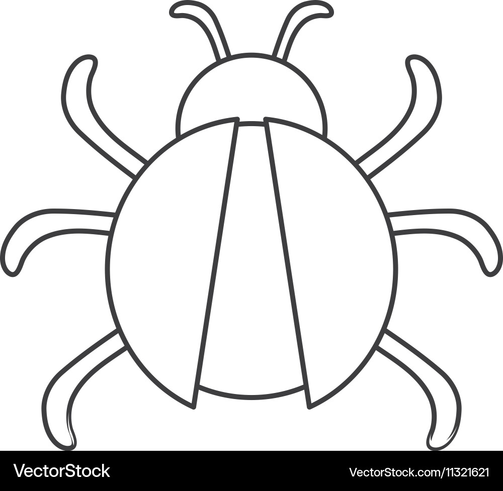 Isolated bug insect design Vector Image