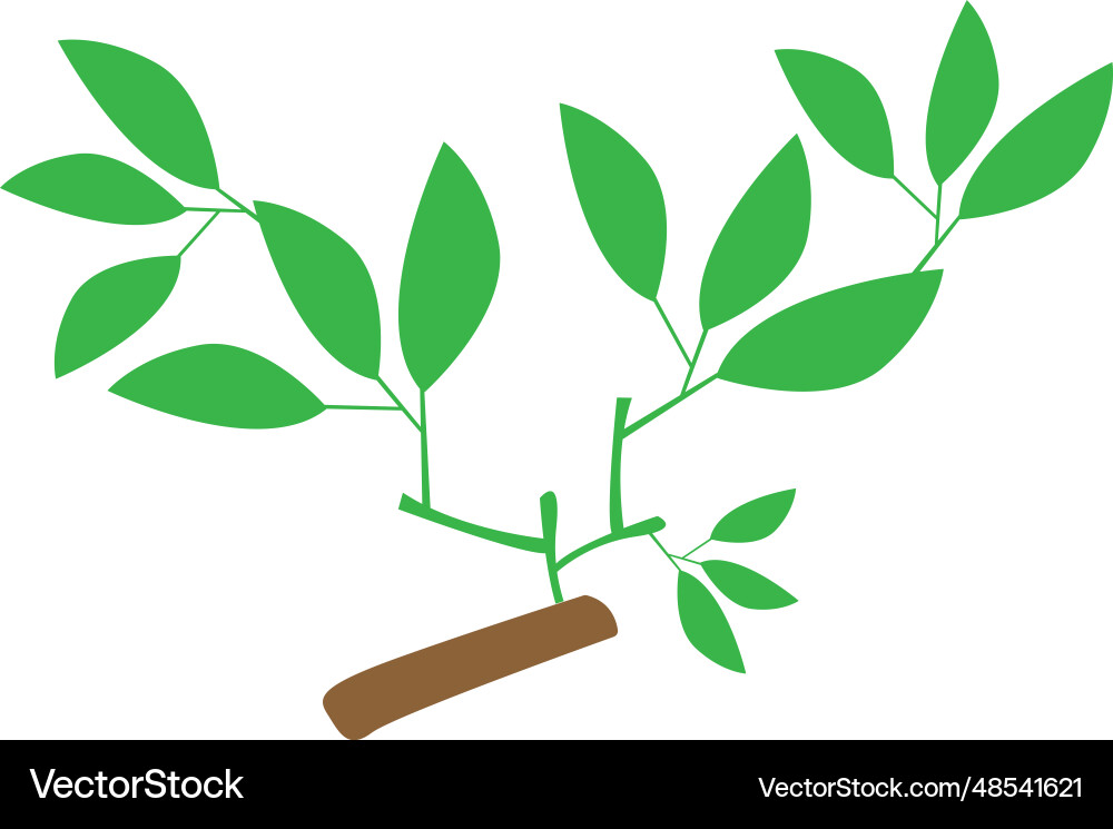 Tree design Tree design Vector Image