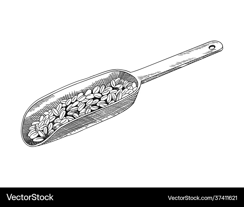 Wheat grain sketch hand drawn black and white – Royalty-Free Vector |  VectorStock, image size:1000x849