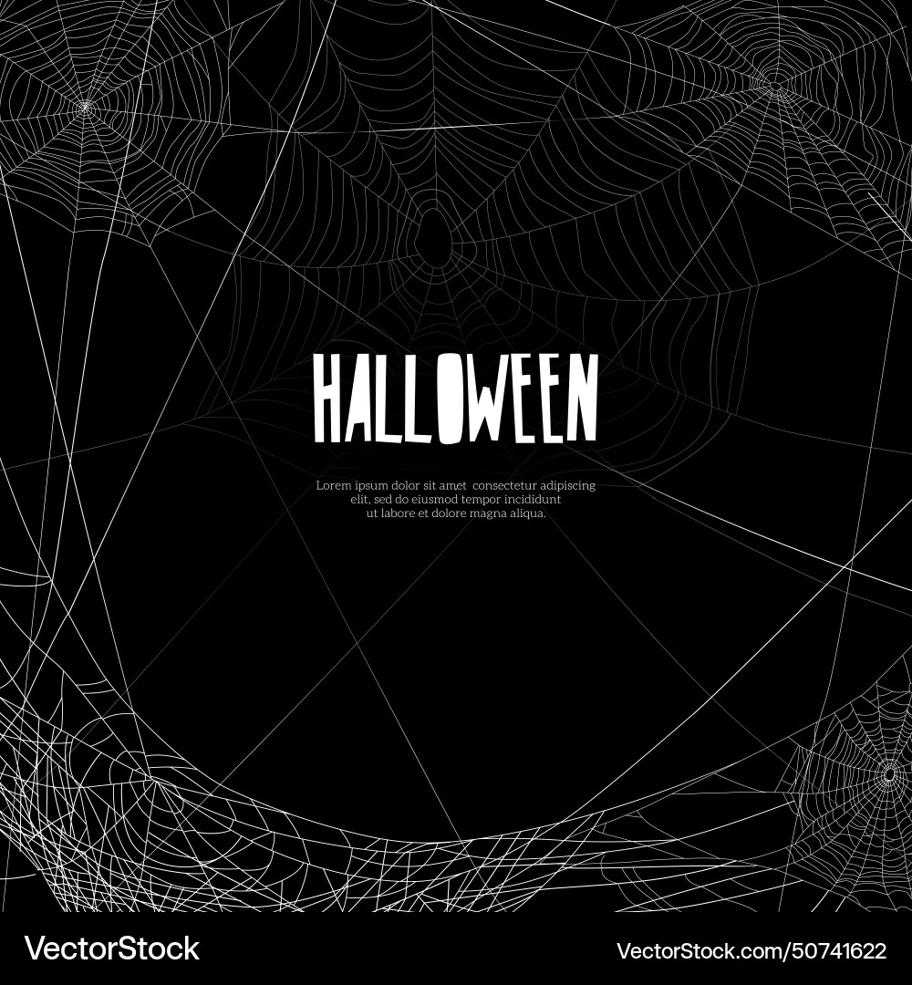 Realistic cobweb frame Realistic cobweb frame Vector Image
