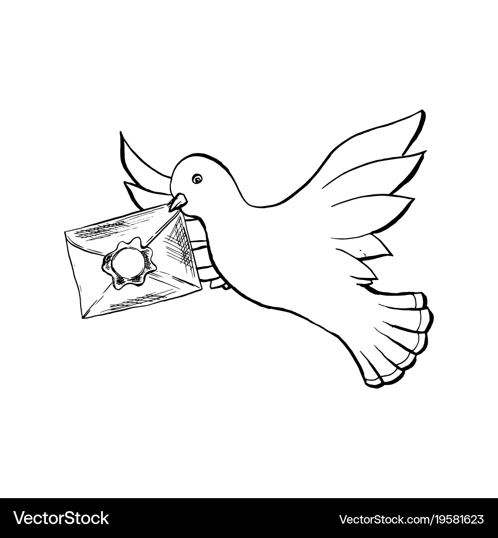 Dove bird flying with envelope in sketch style vector image