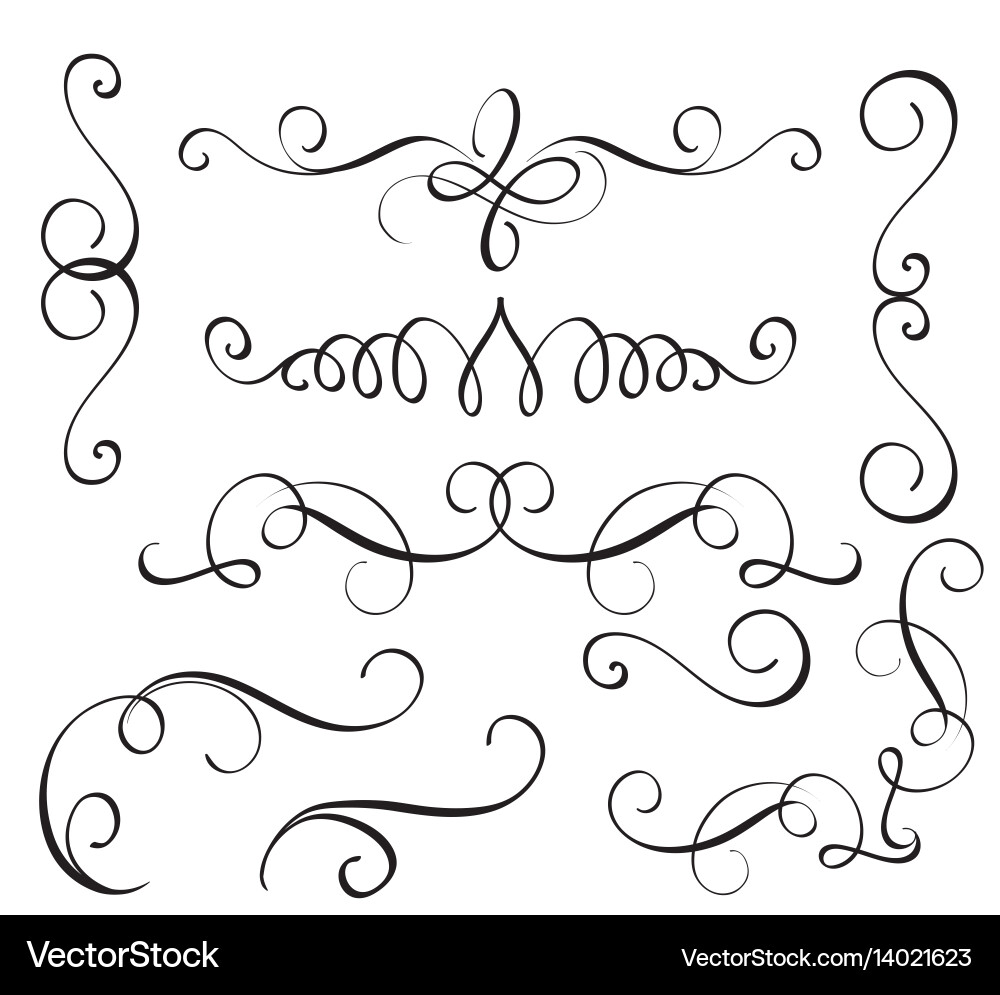 Elegant Swirl Calligraphic Elements vector image