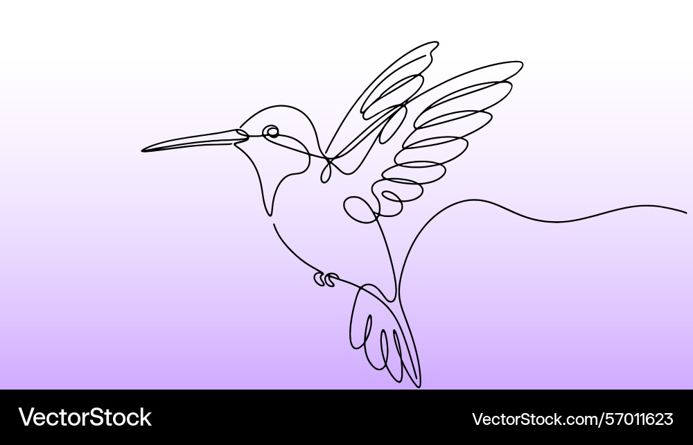 One line hummingbird continuous One line hummingbird continuous vector image