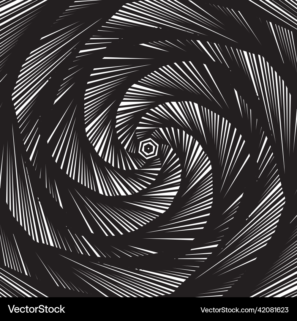 Round shapes swirl design template shell pattern Round shapes swirl design template shell pattern vector image