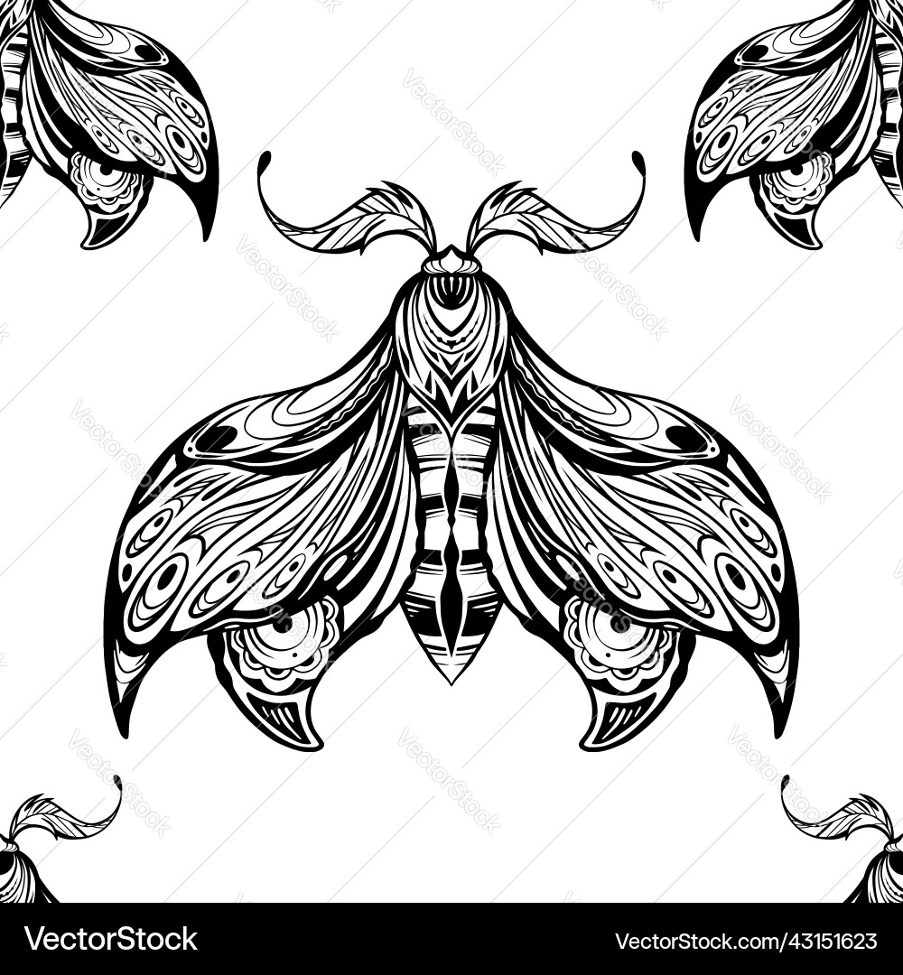 Seamless pattern with drawing moth boho Seamless pattern with drawing moth boho vector image