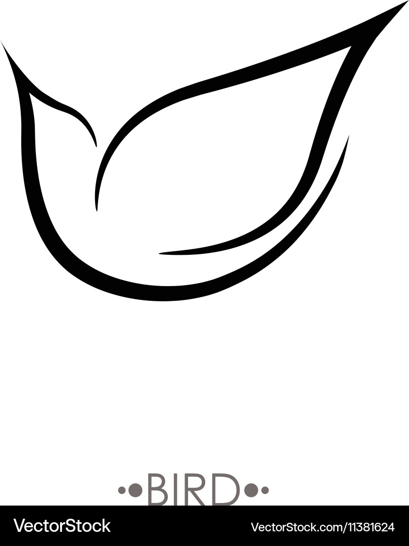 Bird logo design template linear style Vector Image