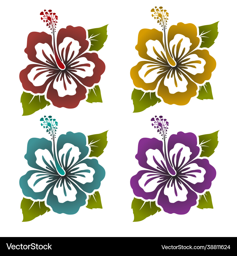 Set colored hibiscus flowers with leaves flat Vector Image
