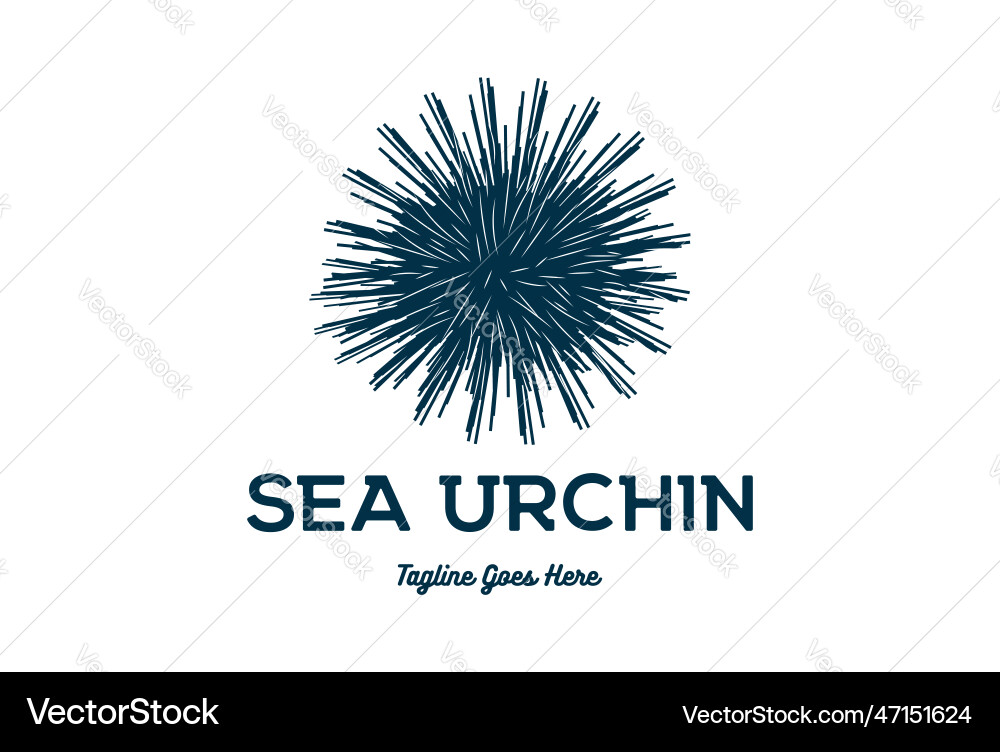 Simple vintage ocean sea urchin logo design icon Simple vintage ocean sea urchin logo design icon vector image
