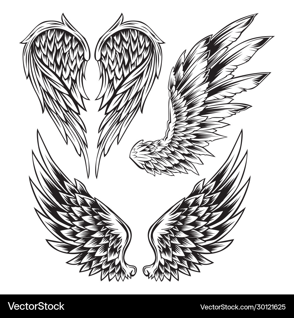 Black and White Wing Tattoo Set Vector Image