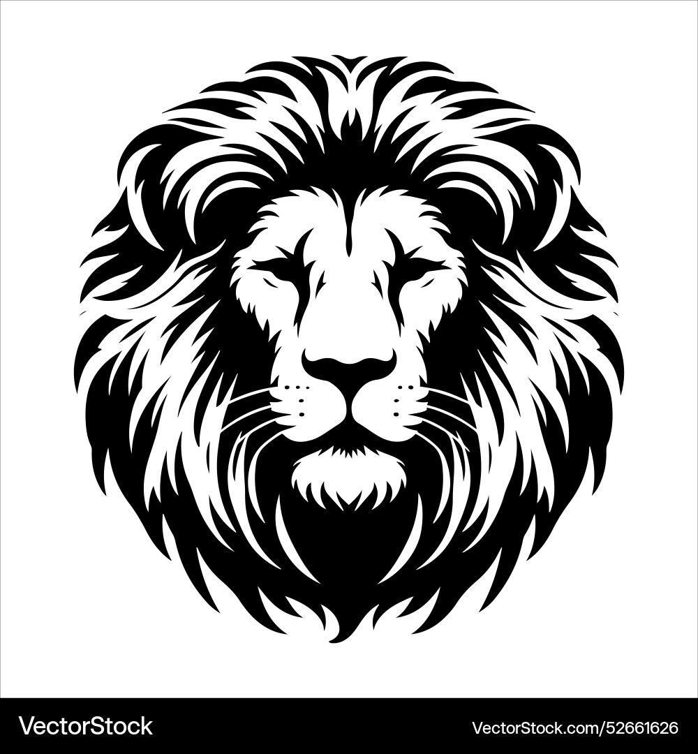 Learn about lion behavior and how they interact Vector Image