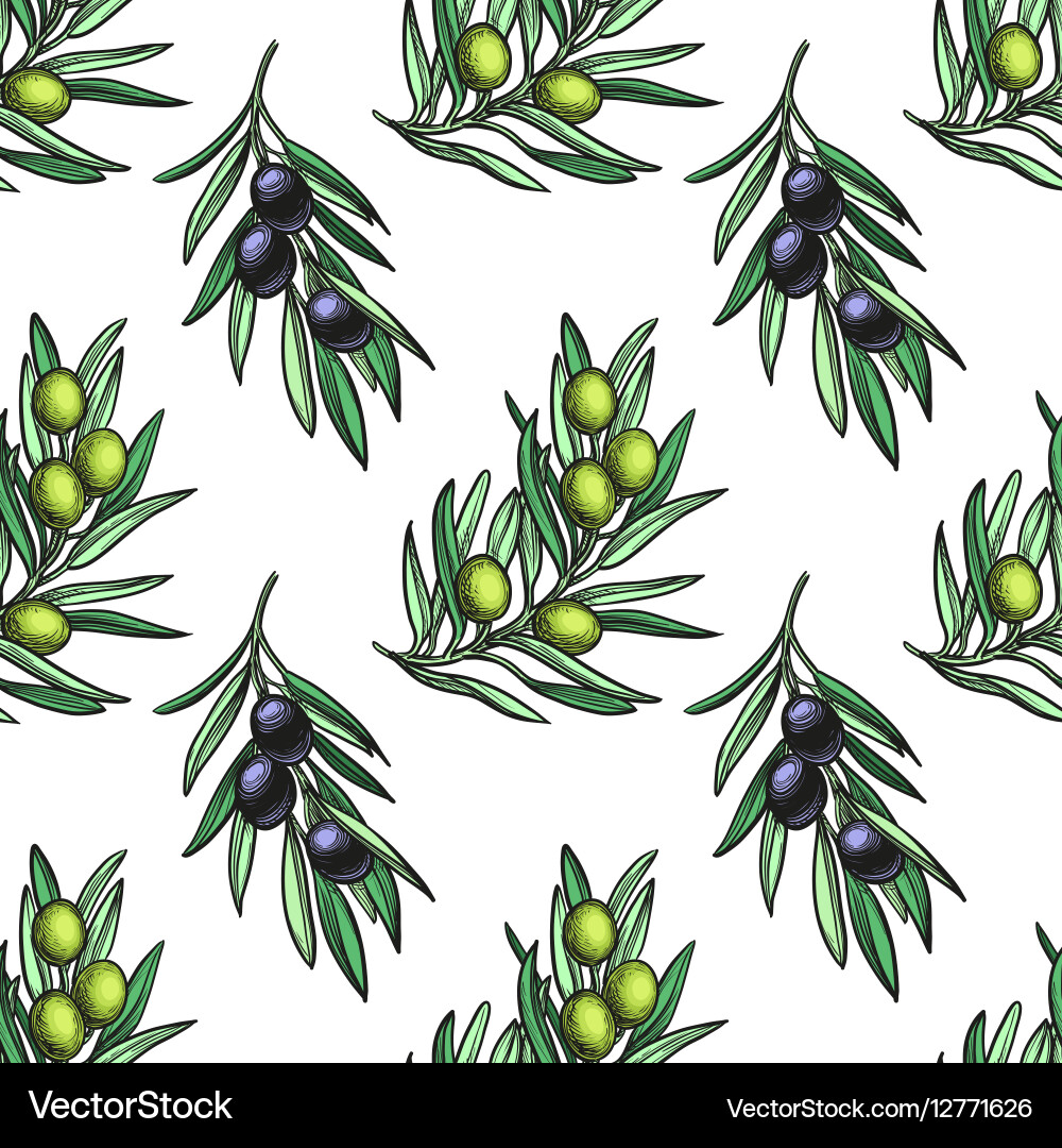 Seamless pattern with olive branch vector image