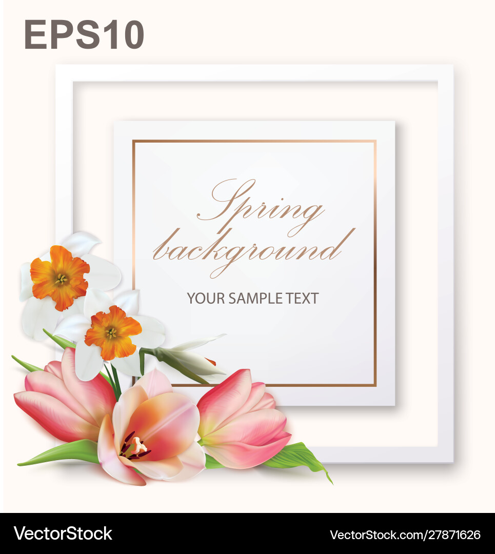 Spring Flowers Background with Frames vector image