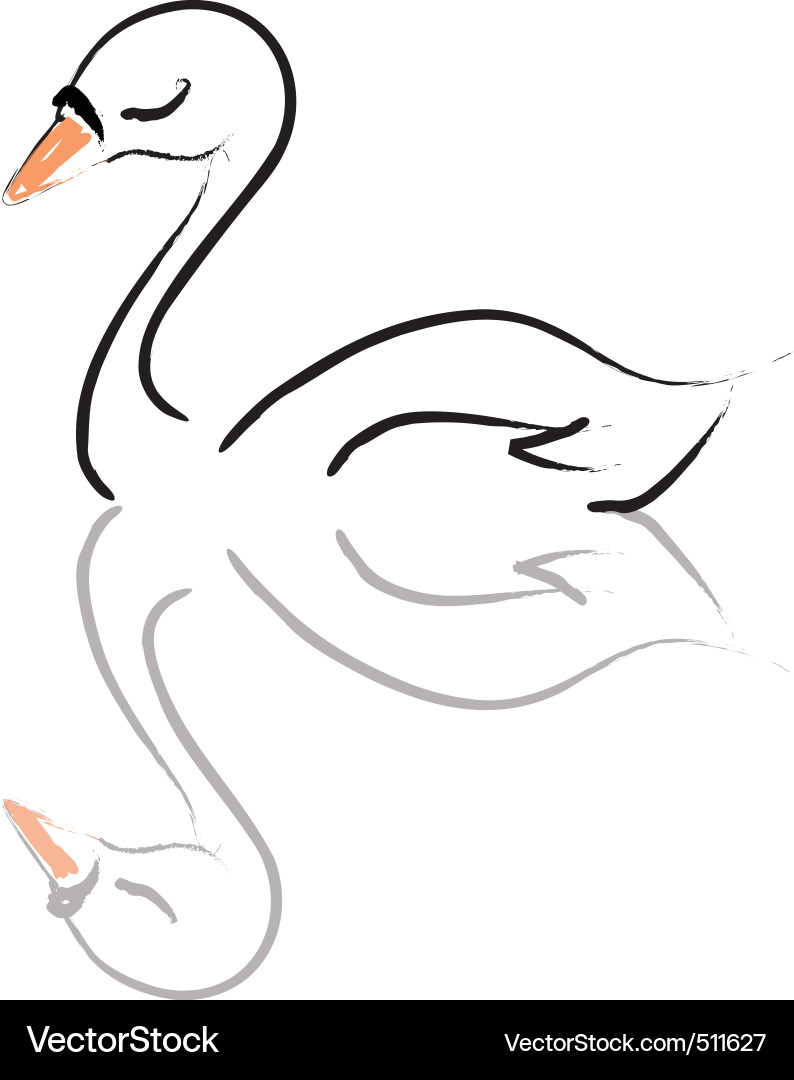 Elegant Swan Reflection Vector Image