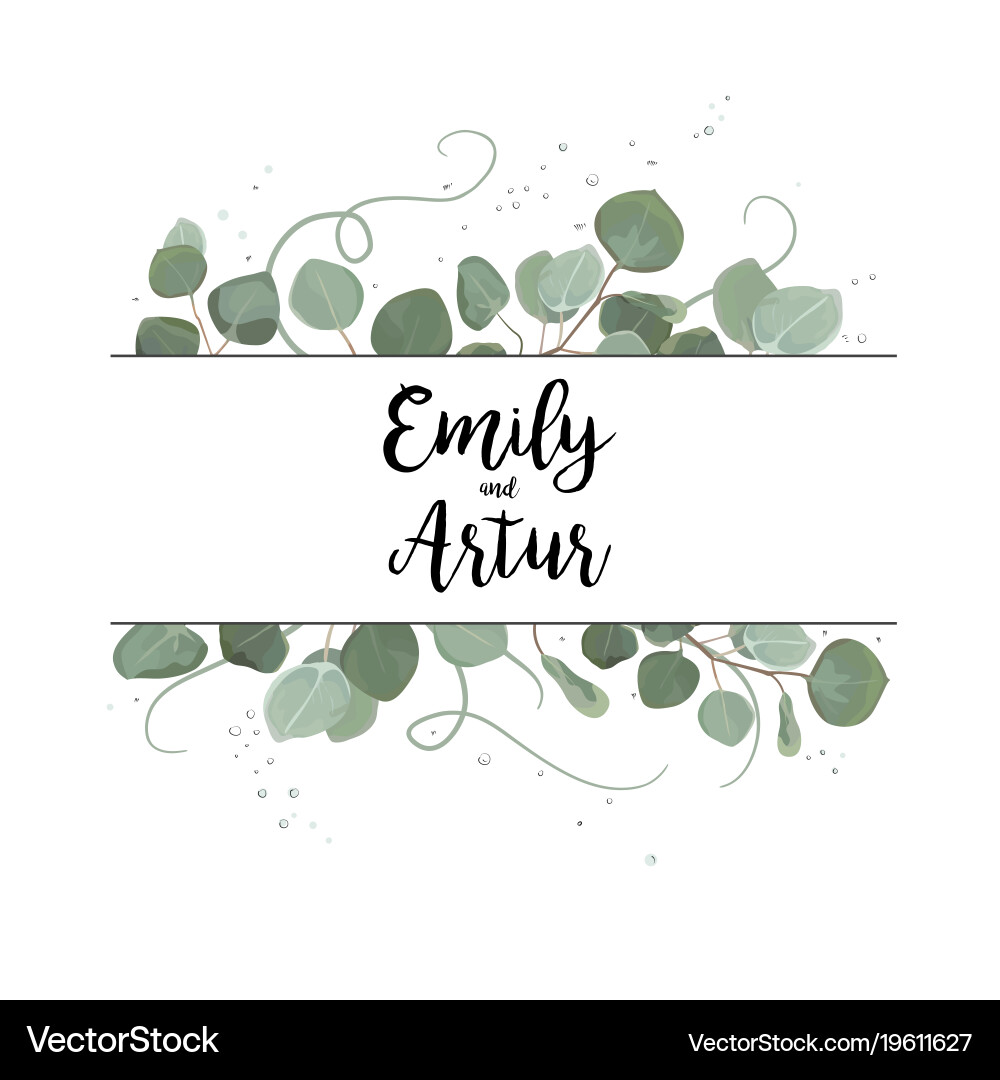 Eucalyptus Green Leaf Card Vector Image