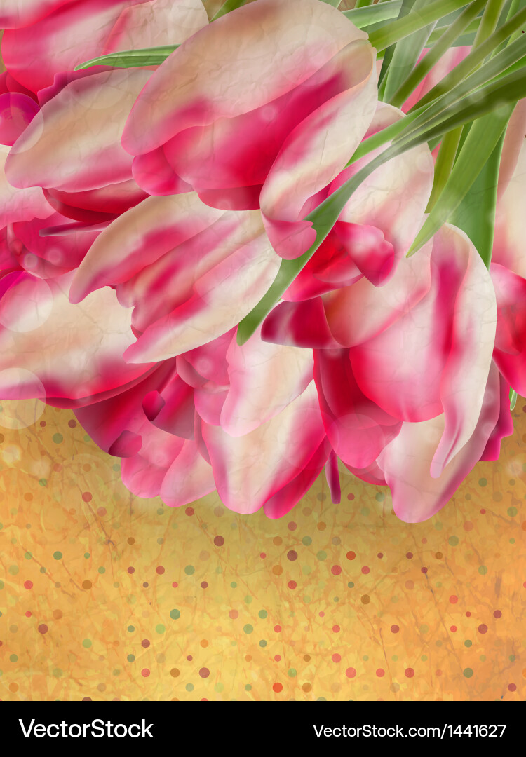 Polka dot pattern with copyspace eps 10 Vector Image