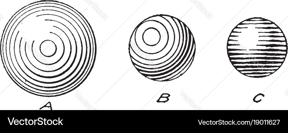 Sphere shading useful skills vector image